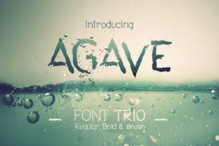 Agave Font Trio: A Perfectly Paired Design System